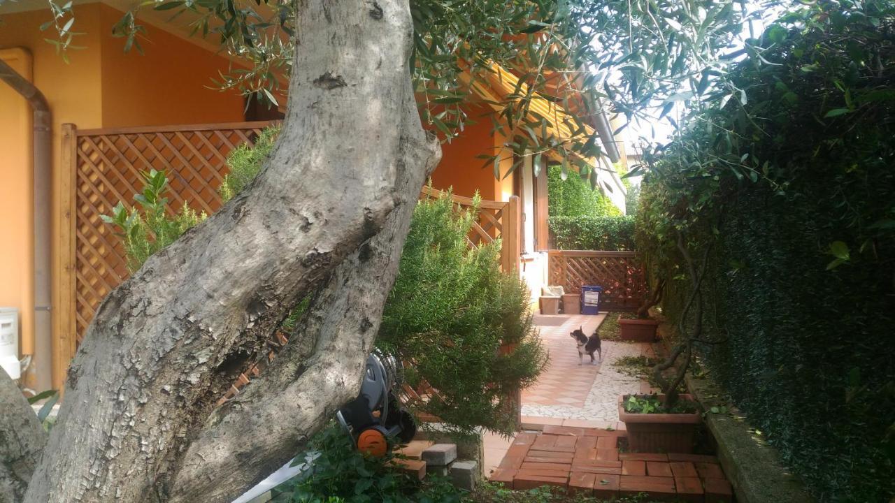 nido di dafne Provaglio d'Iseo Exterior foto